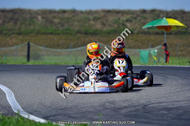 DSC_ (1588).jpg